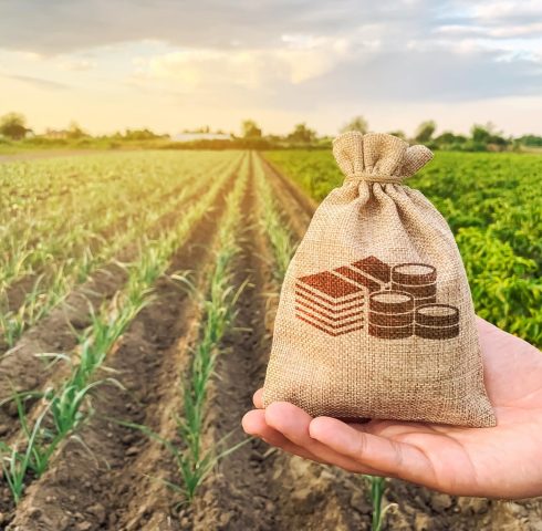 Advogado Especializado em Direito Agrário - Agronegócio