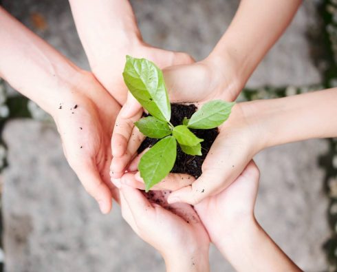 Escritorio de Advocacia especializado em Direito Ambiental em Varginha